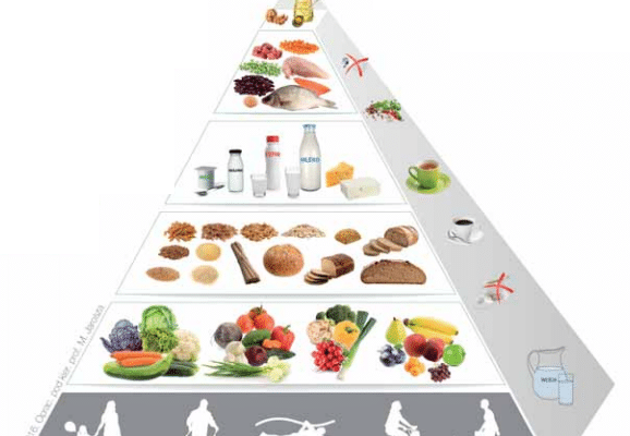 piramida żywienia