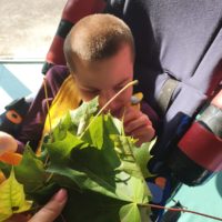 Zajęcia "Pierwszy jesienny liść"