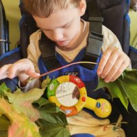 Zajęcia "Pierwszy jesienny liść"