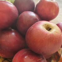 Zajęcia "Pierwszy jesienny liść"