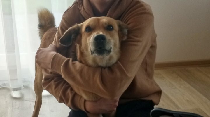 Tydzień dobroci dla zwierząt