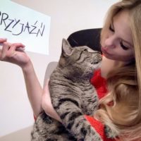 Dzień życzliwości