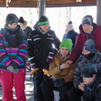 Kulig w Zastawnie – magia, zabawa i moc pozytywnych wrażeń