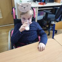 Dzień kota u Tygrysków Urwisków