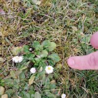 POWITANIE WIOSNY W INTERNACIE