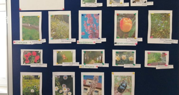 konkurs fotograficzny