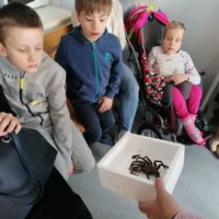 Żywa lekcja przyrody