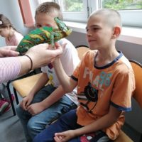 Żywa lekcja przyrody