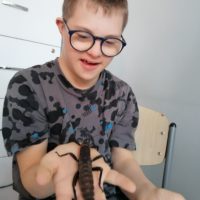 Żywa lekcja przyrody