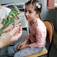 Żywa lekcja przyrody