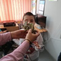 Żywa lekcja przyrody