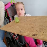 Żywa lekcja przyrody