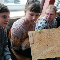 Żywa lekcja przyrody