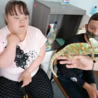 Żywa lekcja przyrody