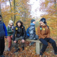 Cztery pory roku w Bażantarni - Jesień