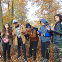 Cztery pory roku w Bażantarni - Jesień