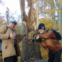 Cztery pory roku w Bażantarni - Jesień