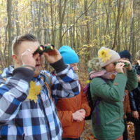 Cztery pory roku w Bażantarni - Jesień