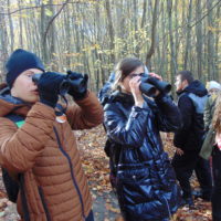 Cztery pory roku w Bażantarni - Jesień