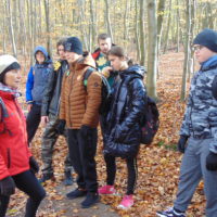 Cztery pory roku w Bażantarni - Jesień