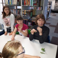 Z wizytą w Bibliotece Młodego Czytelnika