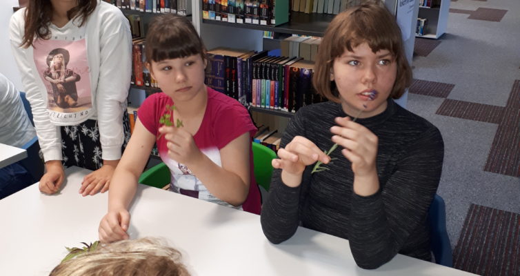 Z wizytą w Bibliotece Młodego Czytelnika