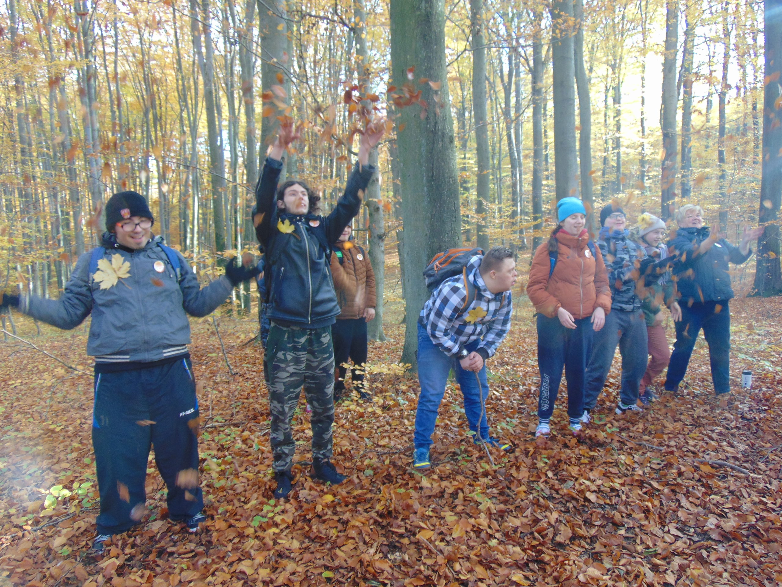 Cztery pory roku w Bażantarni - Jesień