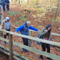 Cztery pory roku w Bażantarni - Jesień