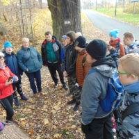 Cztery pory roku w Bażantarni - Jesień