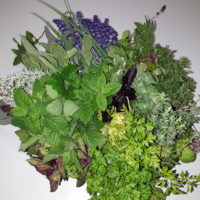 Z wizytą w Bibliotece Młodego Czytelnika