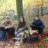 Cztery pory roku w Bażantarni - Jesień