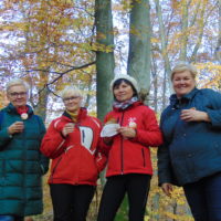 Cztery pory roku w Bażantarni - Jesień