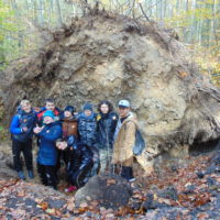 Cztery pory roku w Bażantarni - Jesień