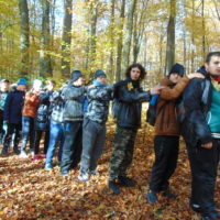 Cztery pory roku w Bażantarni - Jesień