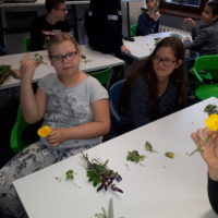 Z wizytą w Bibliotece Młodego Czytelnika