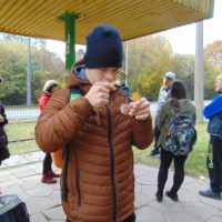 Cztery pory roku w Bażantarni - Jesień