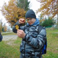 Cztery pory roku w Bażantarni - Jesień