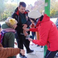 Cztery pory roku w Bażantarni - Jesień