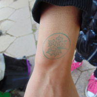 Cztery pory roku w Bażantarni - Jesień