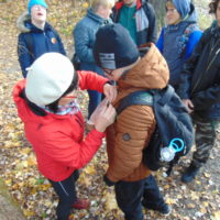 Cztery pory roku w Bażantarni - Jesień