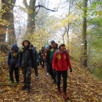 Cztery pory roku w Bażantarni - Jesień