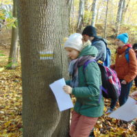 Cztery pory roku w Bażantarni - Jesień