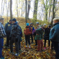 Cztery pory roku w Bażantarni - Jesień