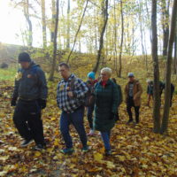 Cztery pory roku w Bażantarni - Jesień