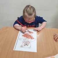Dzień Pluszowego Misia u Tygrysków Urwisków