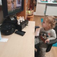 Dzień Pluszowego Misia u Tygrysków Urwisków
