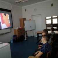 Podsumowanie działań w ramach obchodów Dnia Postaci z Bajek w SOSW nr 1