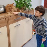Trzeci dzień półzimowiska