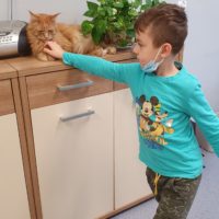 Trzeci dzień półzimowiska