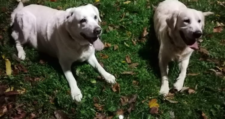 Klara K. 8c Kacper W. 7d